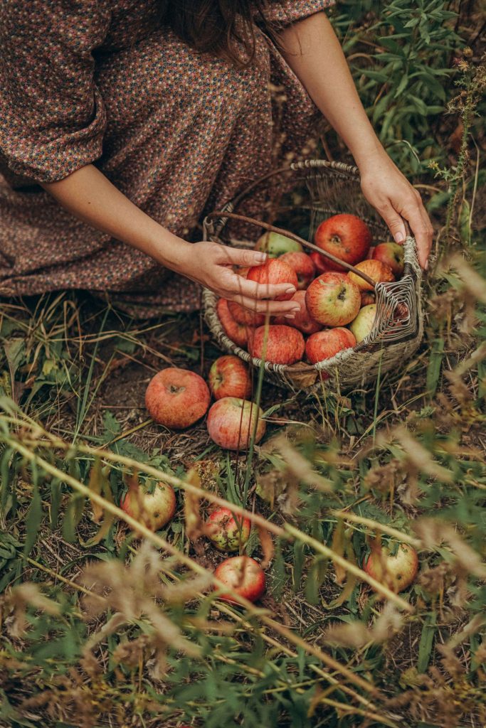 Online naturopath